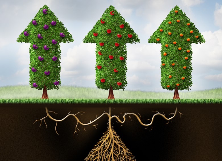 Diversification – why it should be your best friend
