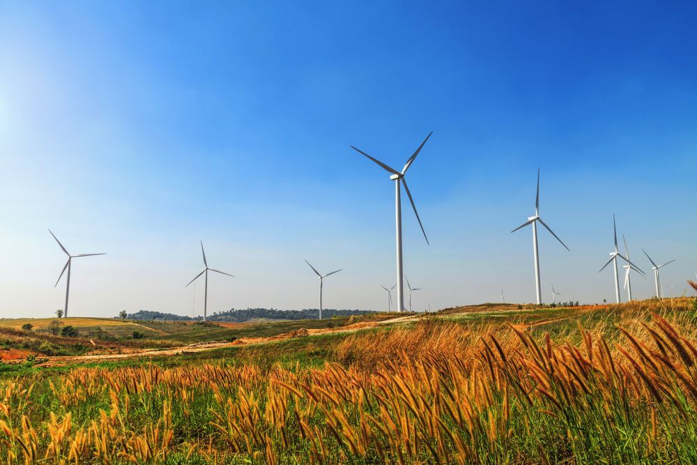Responsible investing on the rise