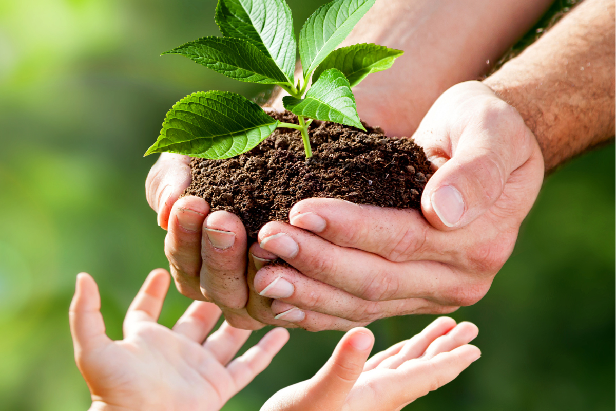 How To Invest Responsibly And Ethically ADR Wealth Superannuation how-to-invest-responsibly-and-ethically-adr-wealth-superannuation